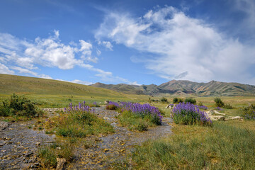 Fantastic mountain landscape on sunny summer day. Plants with blue flowers near the stream against the mountains and clear sky with white clouds. Beautiful natural backgrounds, wallpapers.