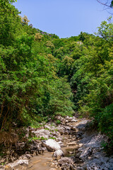 Fototapeta na wymiar The rocky gorges and green lush forest.Summer landscape
