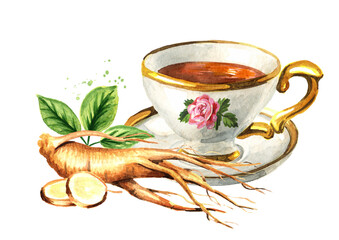 Cup of tea with Ginseng. Hand drawn watercolor illustration isolated on white background