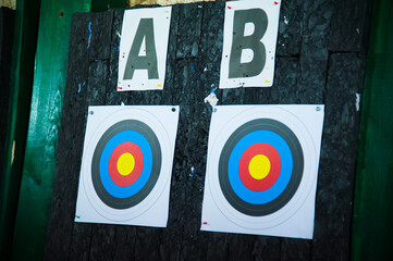 Arrows in archery target on archery range