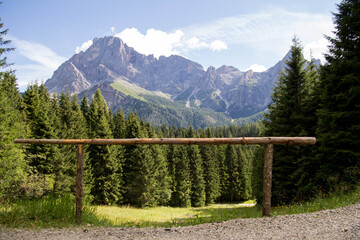 DOLOMITES LANDSCAPE... View from the walk from the forest path