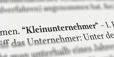 Kleinunternehmer im Buch