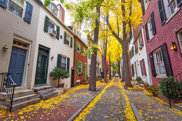 Autumn alleyway in Philadelphia, Pennsylvania, USA