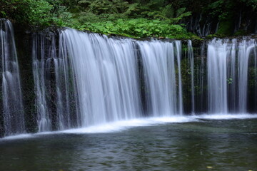 Fototapeta na wymiar 《長野県》日本・白糸の滝・日本の滝