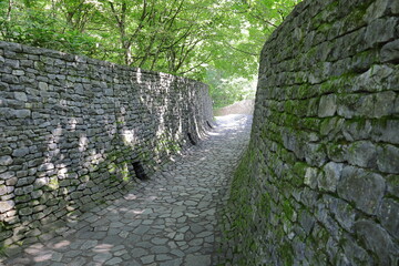 《軽井沢》避暑地の小道