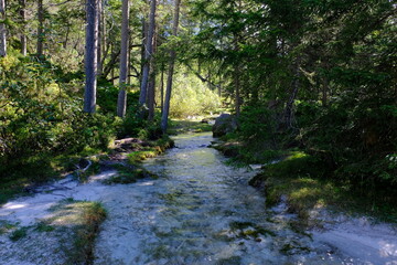Am Quellfluss der Oberen Isar 