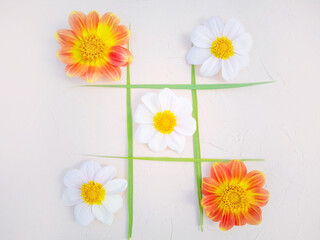 Tic-tac-toe of flowers and blades of grass. Creative concept of a holiday, birthday. White and orange dahlias. Light pastel background, minimalism, flat lay, top view, copy space.