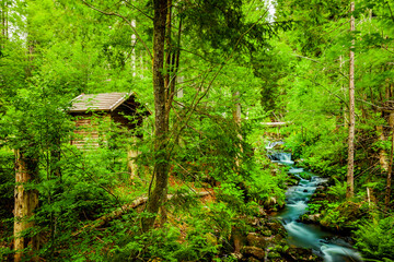 Wildbach im Bayerischen Wald