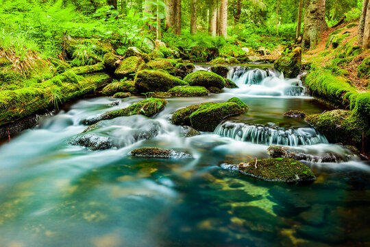 Wildbach im Bayerischen Wald