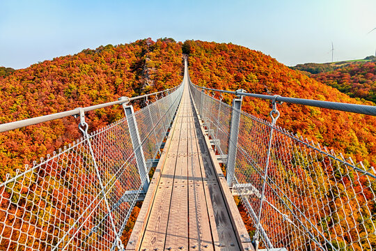 Suspension footbridge Geierlay (Hangeseilbrucke Geierlay) near Mosdorf, Germany.