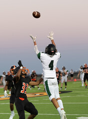 Great action photos of football players making amazing plays during a football game