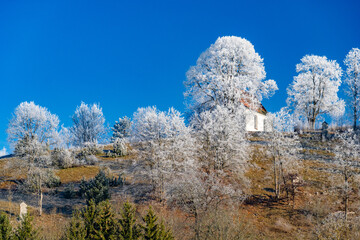 Winter