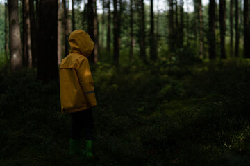 Litte boy plays in the woods with a yellow jacket