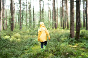 Litte boy plays in the woods with a yellow jacket