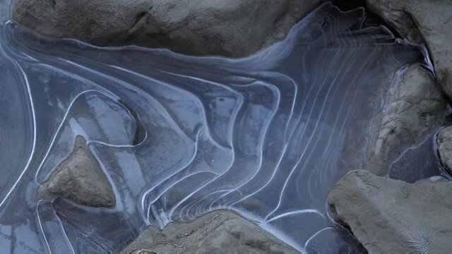 Frost and Ice Lenga Forest Trekking Patagonia Fall Colours El Chalten Details in the Ice.