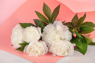 White peony Flowers in a frame on a pink background.