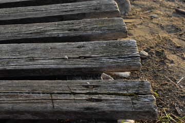 Stare deski na drewnianym poście nad wodą. © Krzysztof Głowacki