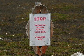 Penguins only sign, Falkland Islands
