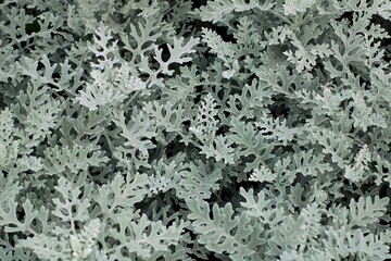 Naklejka premium abstract background texture