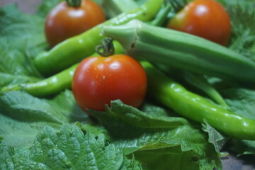 複数の夏野菜