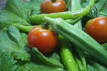 複数の夏野菜