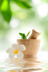 close up view of wooden herbal mortar on green back. 