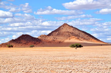 Fototapeta na wymiar Wüstenlandschaft am NamibRand in Namibia