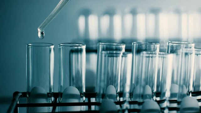 The scientist dropping the chemical solution in test tube in the laboratory experiment. Chemical and Oil concept