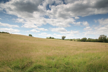 countryside of oxfordshire england