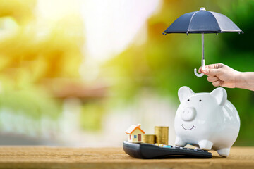 Woman hand hold open the black umbrella for protect the piggy bank and coin and home put on the...
