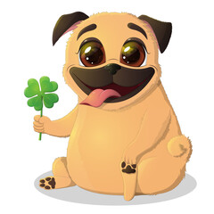 Funny cartoon character pug dog with clover in paw celebrating St Patricks Day isolated on white background. Vector illustration. Cute icon with happy pet.