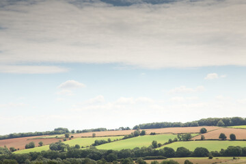 Fototapeta na wymiar countryside of oxfordshire england