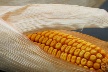 Sweet corn
