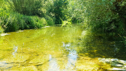 Fluß Aue Tauber Furt Bach Natur üppig sattes grün im Sonnenschein seichtes Wasser Forellen Angeln Flußaue Überschwemmung Gebiet Wildnis naturnah Umwelt- Nachhaltig- Öko- Bio- Trinkwasser Schutz 