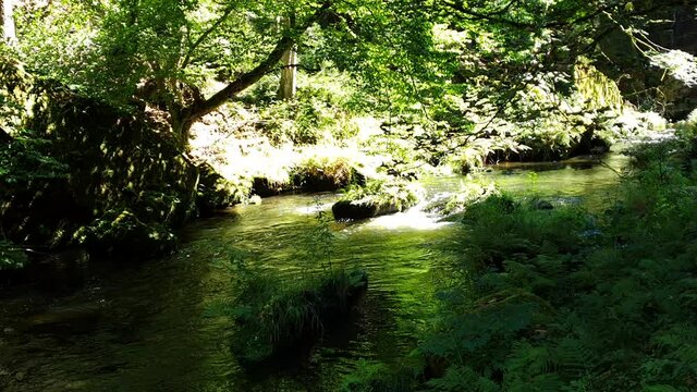 RZEKA W G&Oacute;RACH. CZESKA SZWAJCARIA, WĄW&Oacute;Z EDMUNDA, REPUBLIKA CZESKA 
