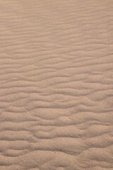 Obraz premium sand texture background 05