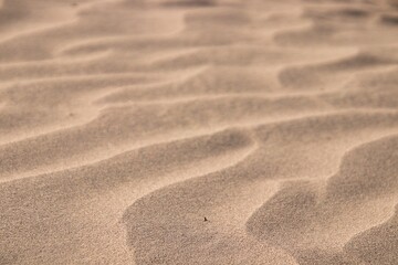 Fototapeta na wymiar sand texture background 07
