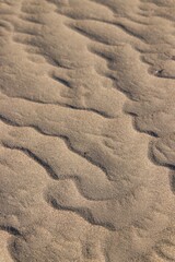 Fototapeta na wymiar sand texture background 10