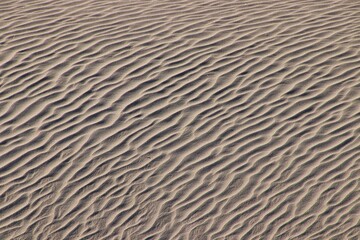 Obraz premium sand texture background 15