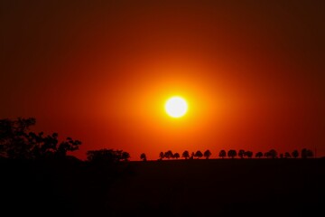 Beautiful Sunset in Czech Republic like in Africa with Tree Silhouettes. Bright Sun Goes Down behind Road with Trees.