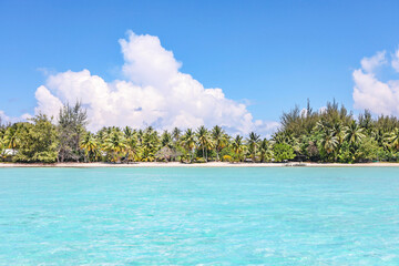 Bora Bora French Polynesia Island Paradise Beach Palm Trees