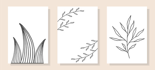 Set of black and white mysterious tropical plants and abstract leaves in line art style, hand drawn. Suitable for postcards, posters, stories on social networks.