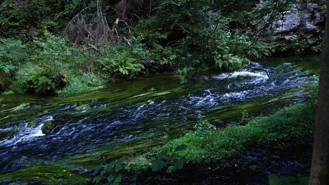 RZEKA W G&Oacute;RACH. CZESKA SZWAJCARIA, WĄW&Oacute;Z EDMUNDA, REPUBLIKA CZESKA 