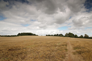countryside of oxfordshire england