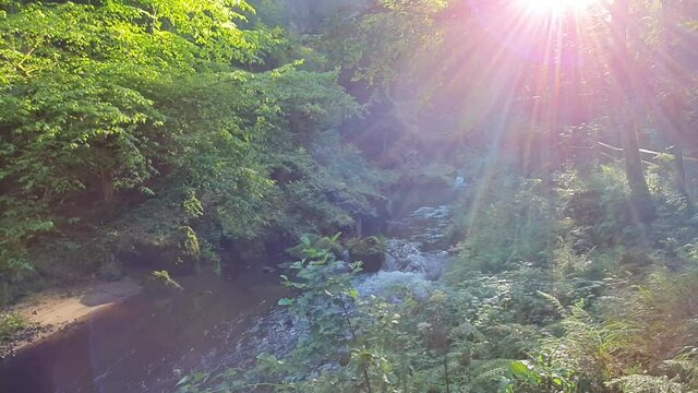 RZEKA W G&Oacute;RACH. CZESKA SZWAJCARIA, WĄW&Oacute;Z EDMUNDA, REPUBLIKA CZESKA 