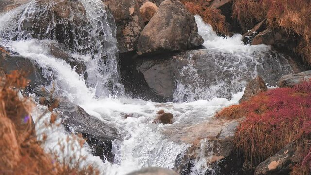 Autumn colorful river forest orange mountains stone water
