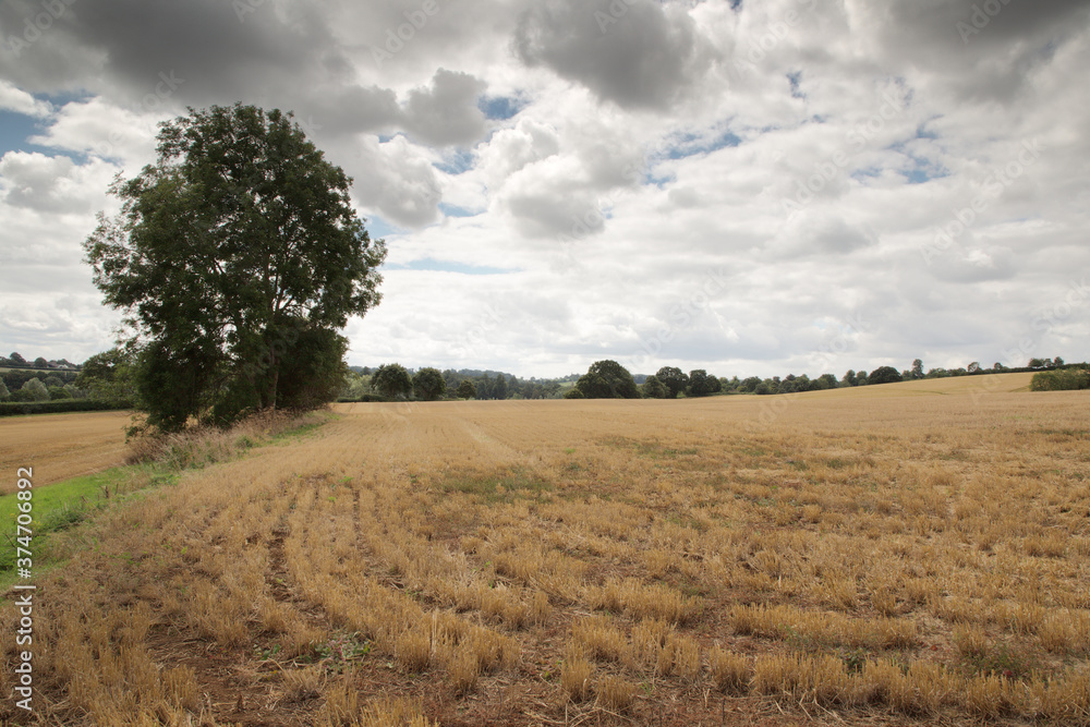 Wall mural countryside of oxfordshire england