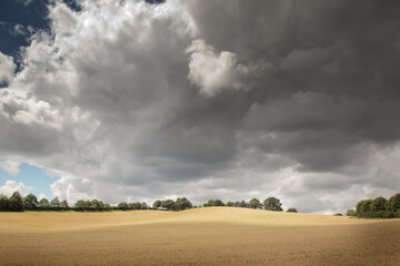 Obraz premium countryside of oxfordshire england