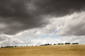 countryside of oxfordshire england