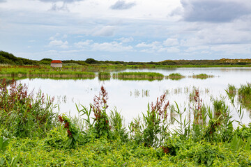 Rural landscape of a meadow with grass on a island in the North Sea, Holland